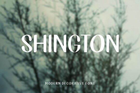 Shington: A Friendly Handwritten Font
