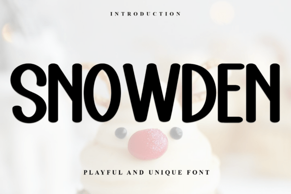 Snowden Font for Business